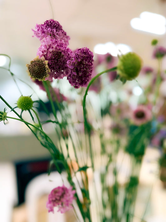 Wedding Meadow Market