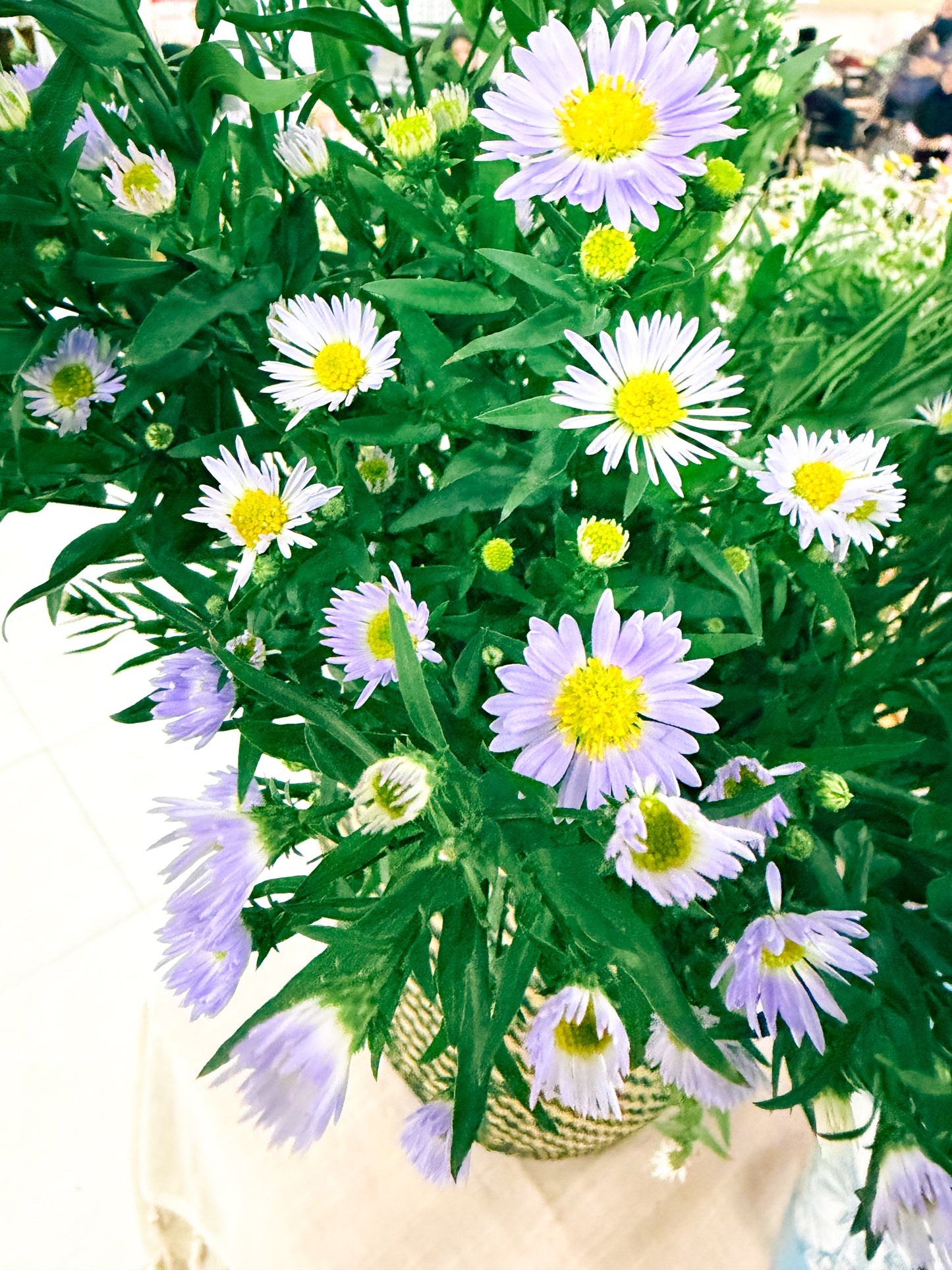 Wedding Meadow Market